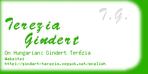terezia gindert business card